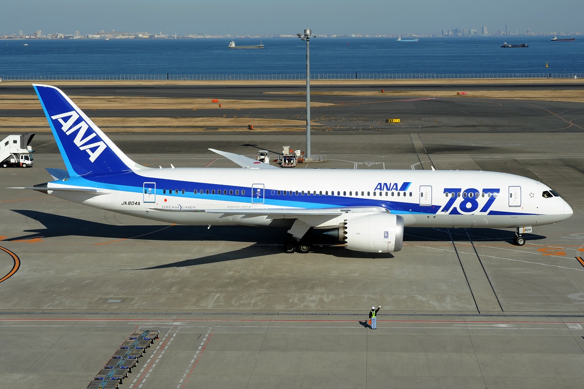 787-8 ANA全日空 導入2番機 特別塗装 JA802A 1/200+pontomidia.com